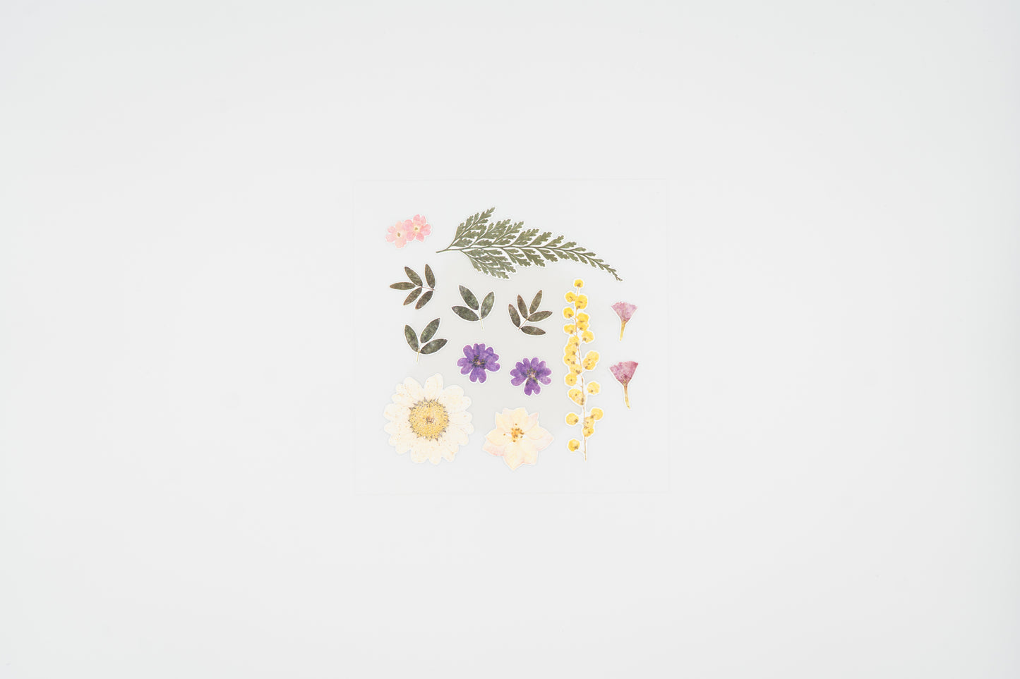 1524 Dear Flower