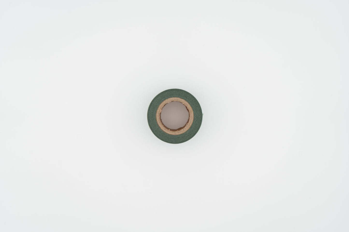 Cactus 01