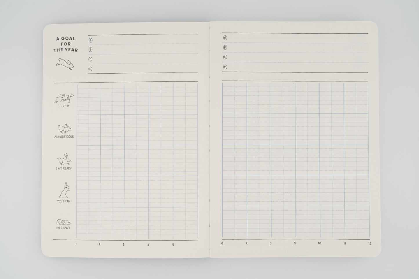 Rabbit Balance Diary