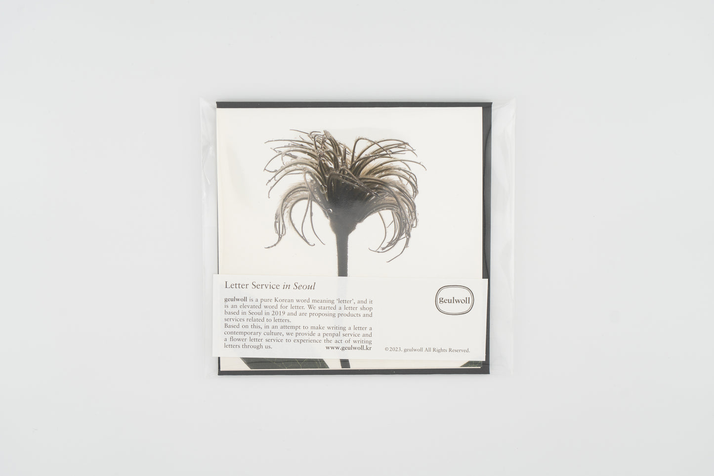 Flower Card I Clematis Seed