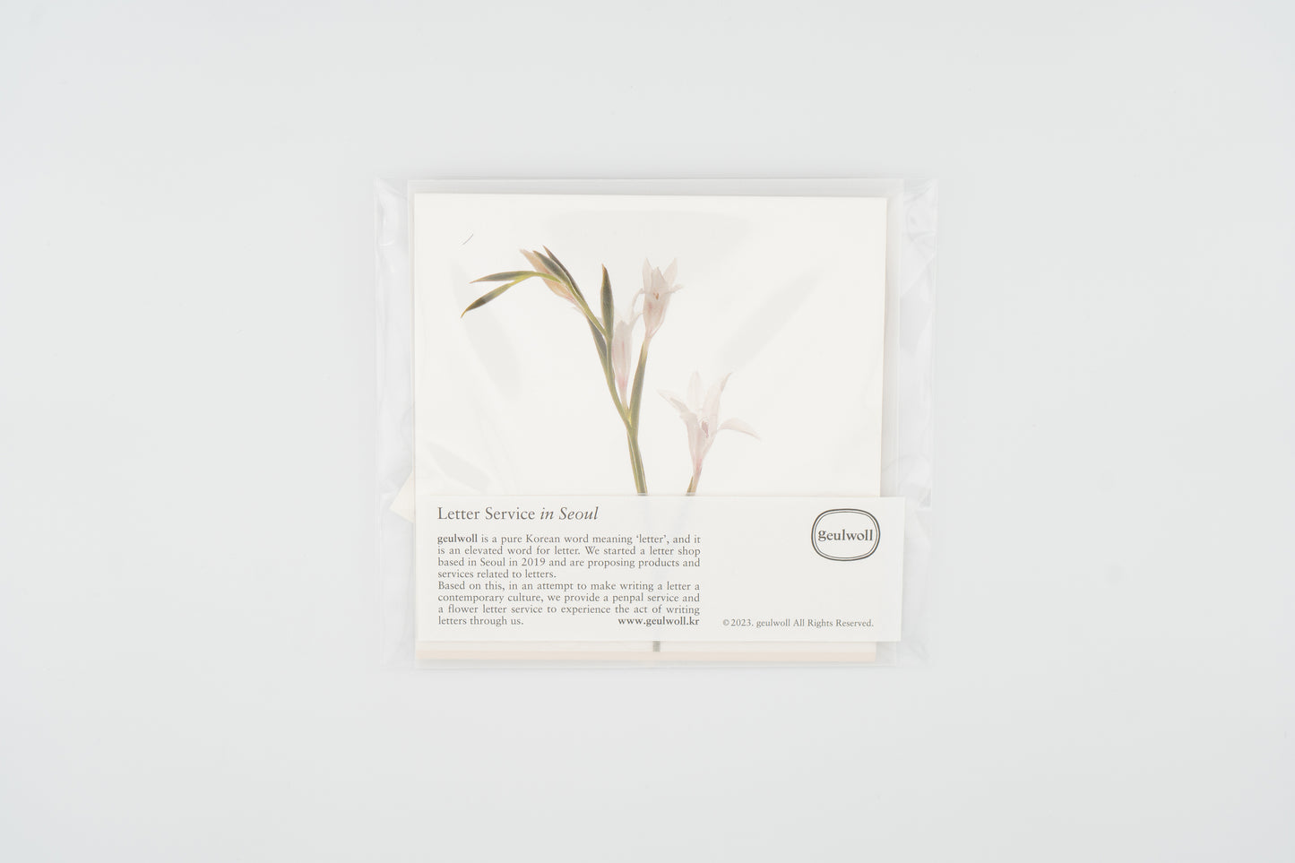 Flower Card I Gladiolus