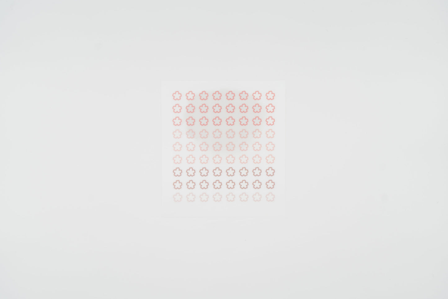 1665 Plain.61 Blossom Set