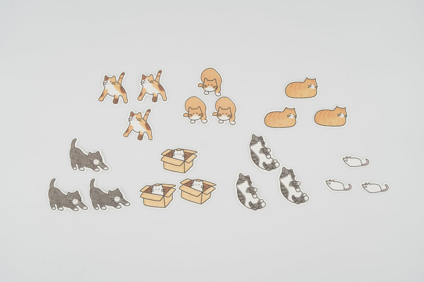 304 Cats!
