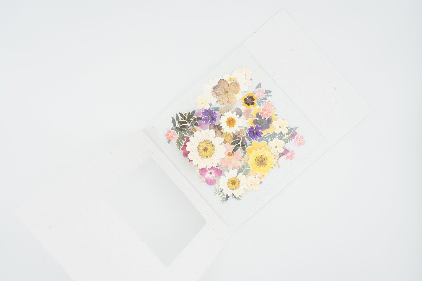 1524 Dear Flower