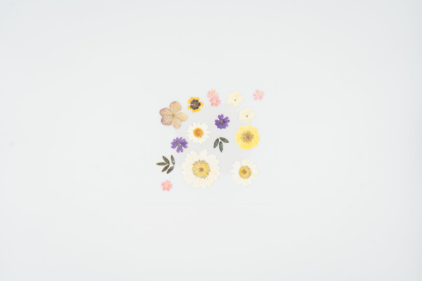 1524 Dear Flower