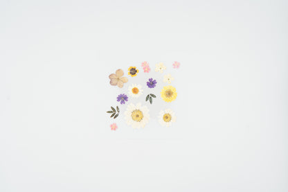 1524 Dear Flower