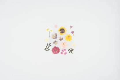 1524 Dear Flower