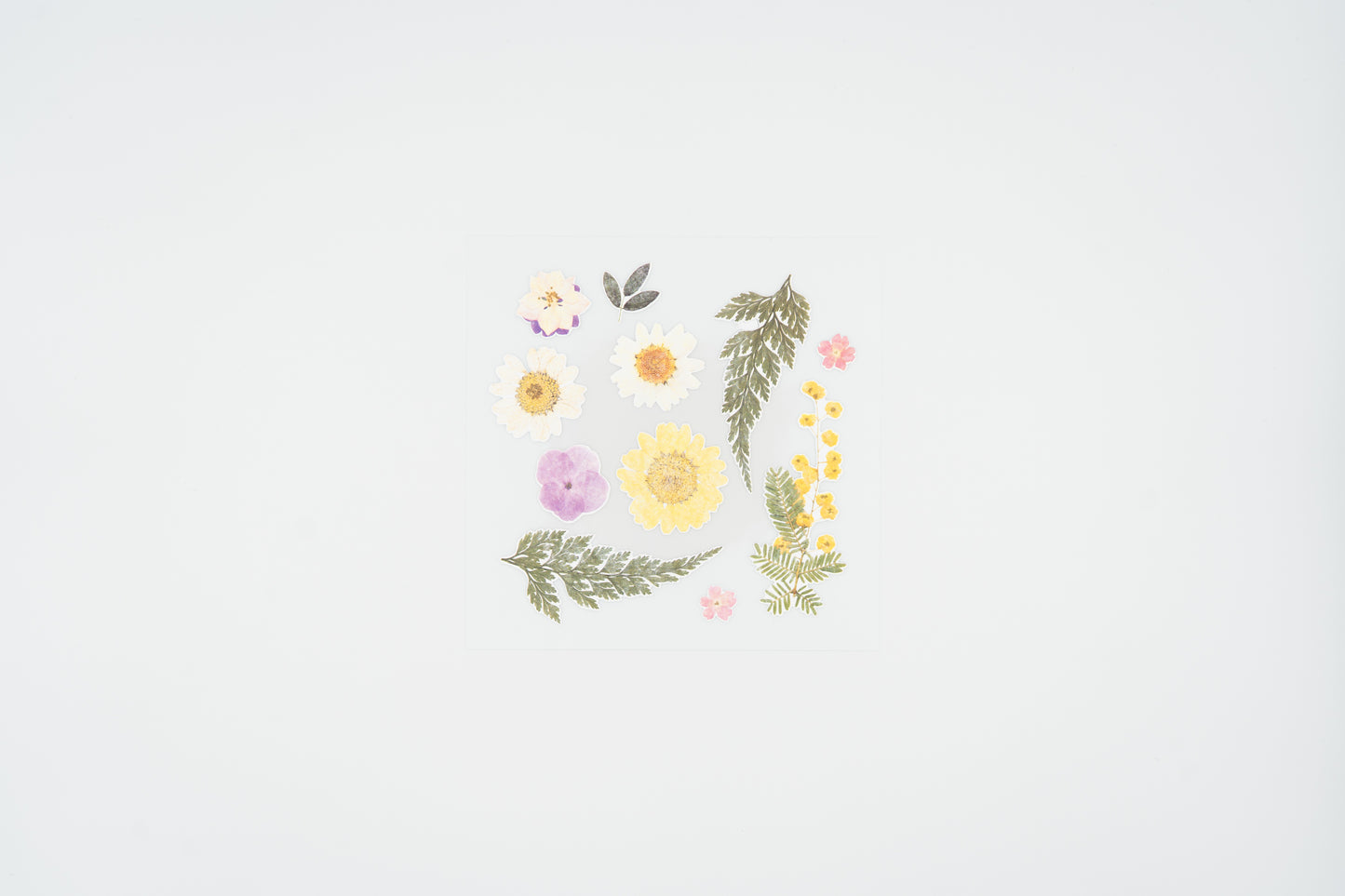 1524 Dear Flower