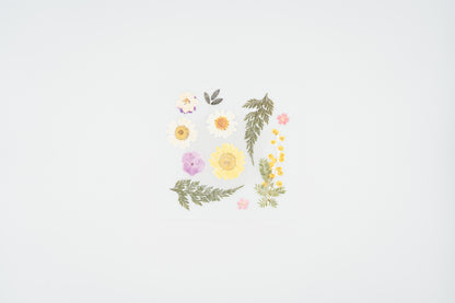 1524 Dear Flower