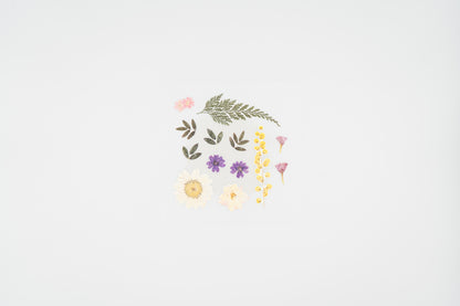 1524 Dear Flower
