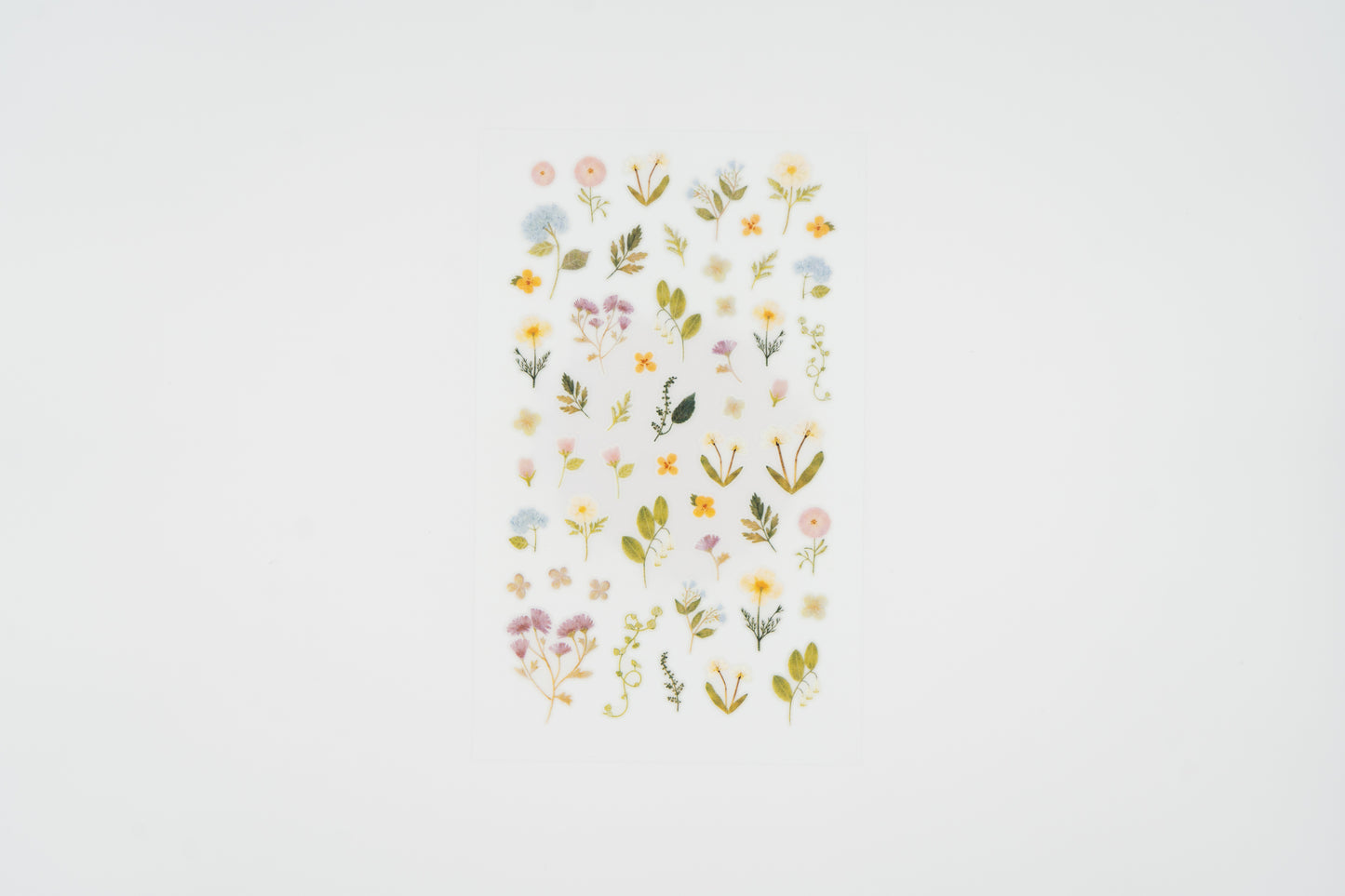 1209 Dreamy Blossoms
