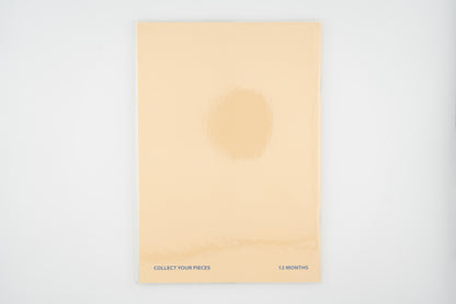 2027 Diary Dated - Monthly (Medium)
