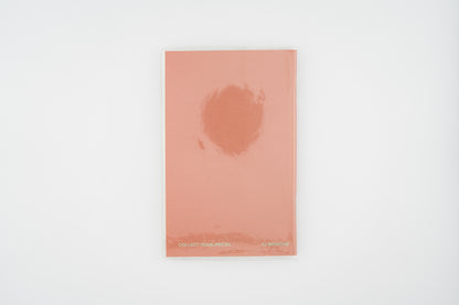 2027 Diary Dated - Monthly (Small)