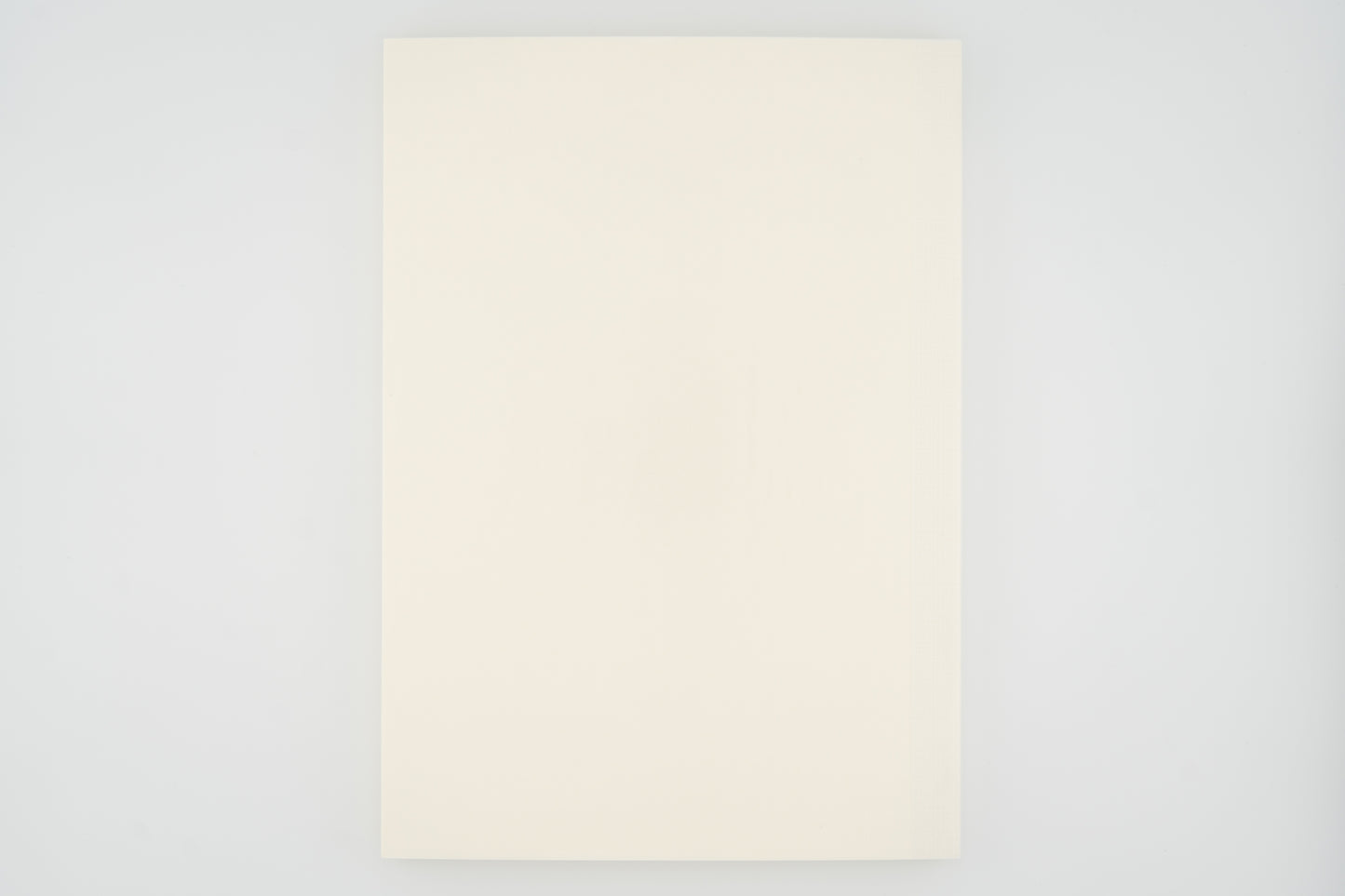 Midori Notebook A5 Dot