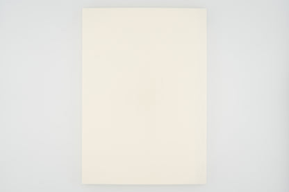 Midori Notebook A5 Dot