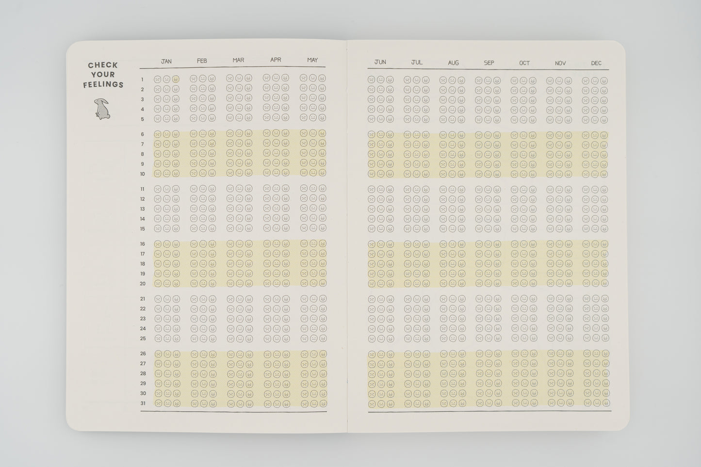 Rabbit Balance Diary