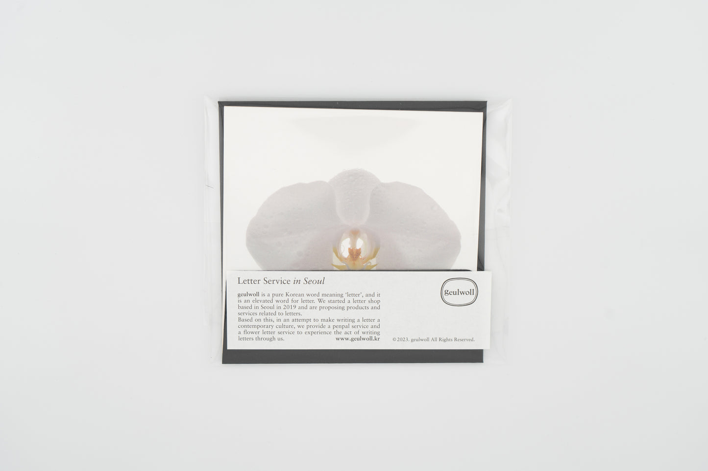 Flower Card I Moth Orchid