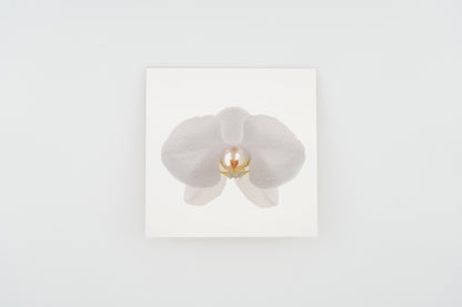 Flower Card I Moth Orchid