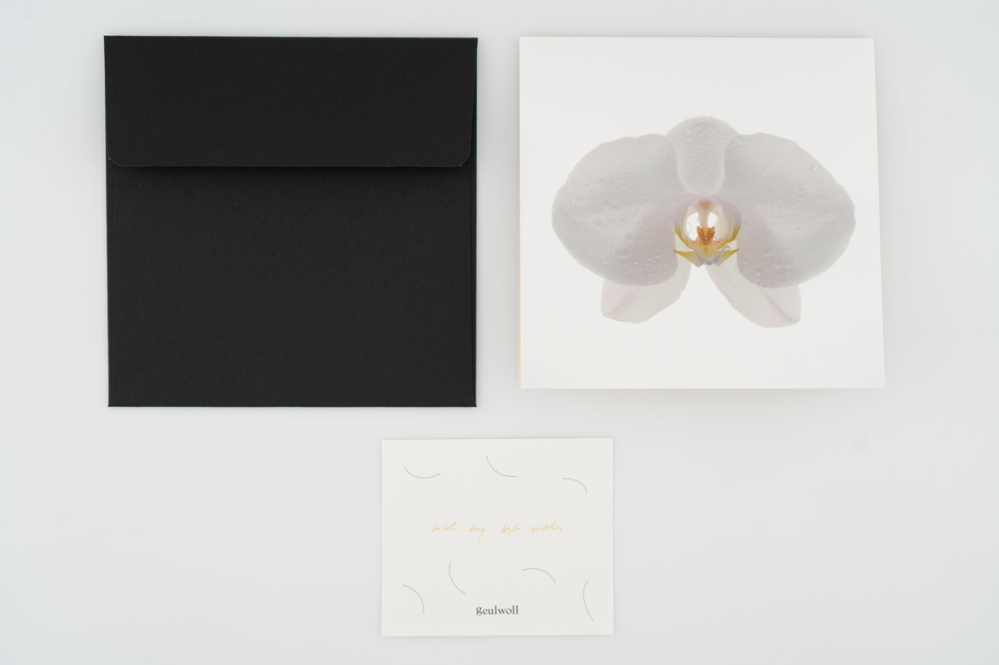 Flower Card I Moth Orchid