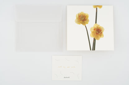 Flower Card I Narcissus