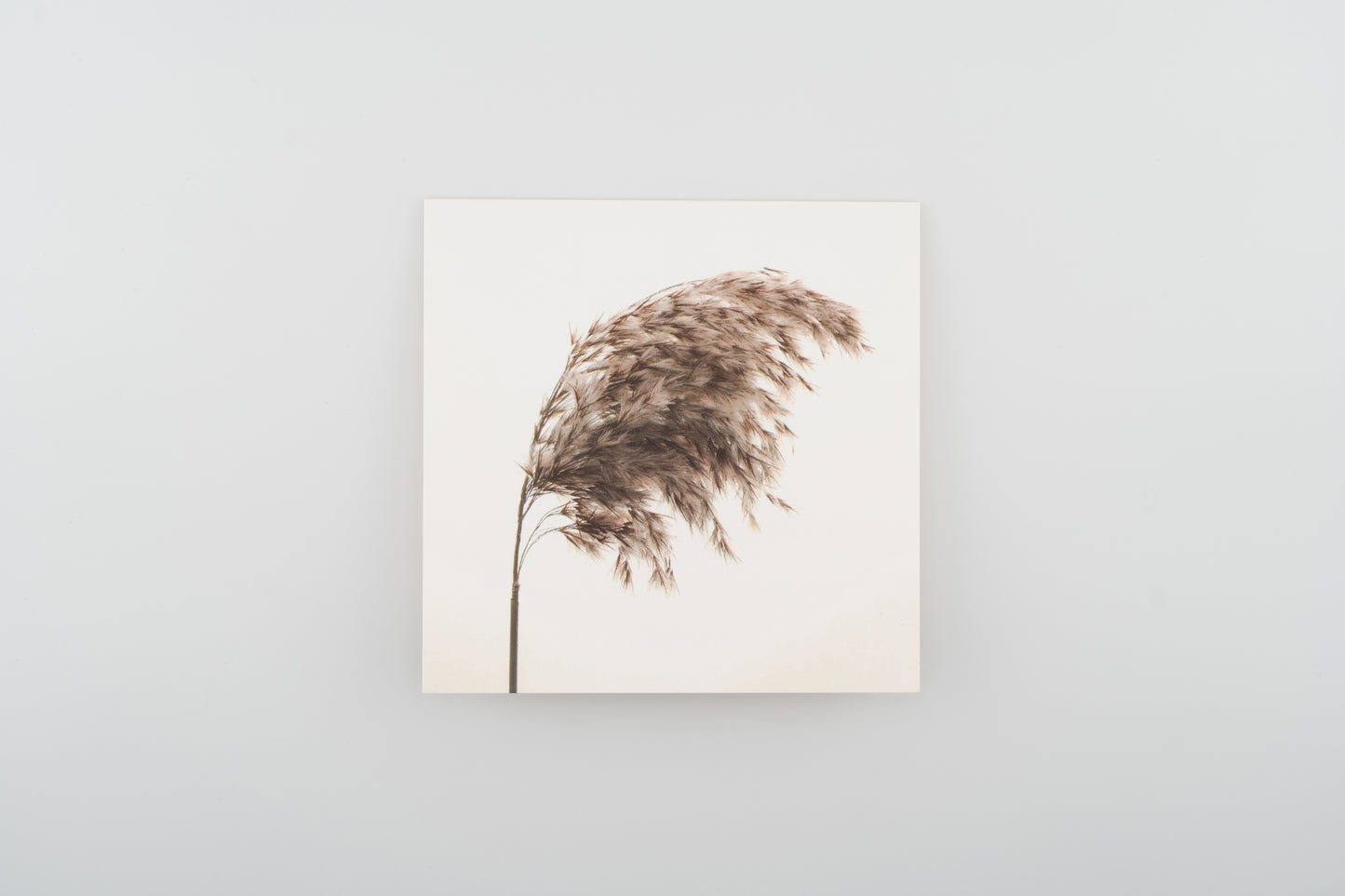 Flower Card I Reed