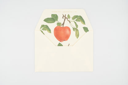 Fruit Letter Set (Apple)