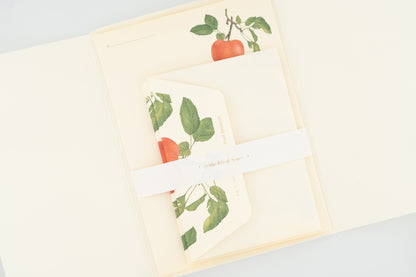 Fruit Letter Set (Apple)