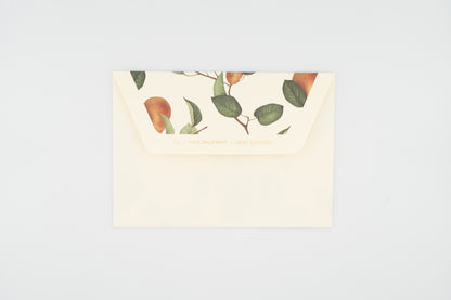 Fruit Envelope (Pear)