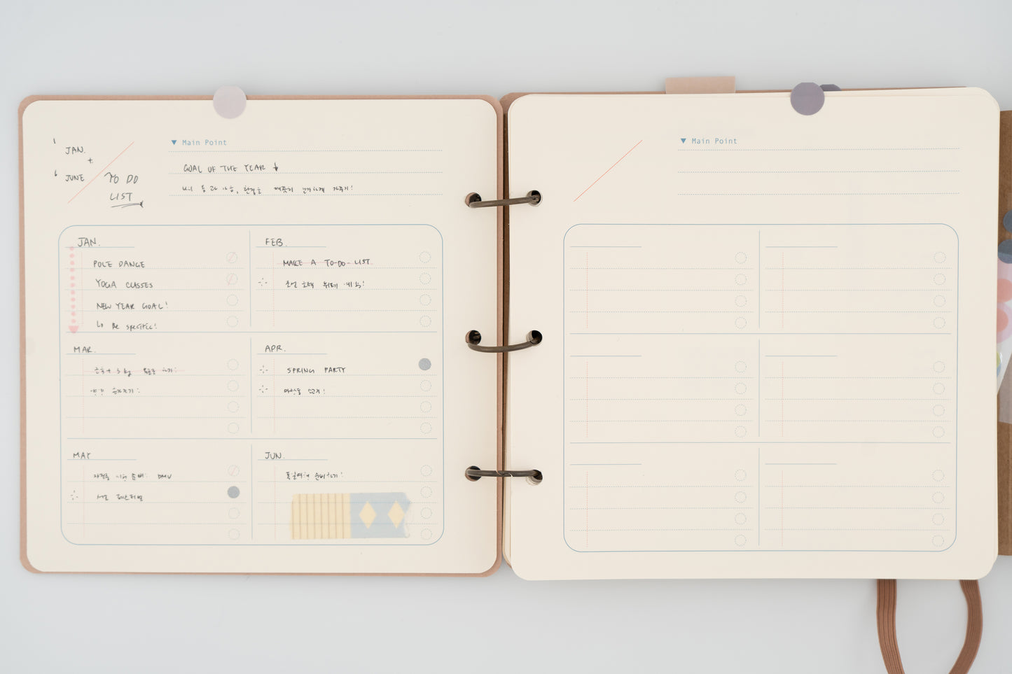Open Book Diary (Medium)