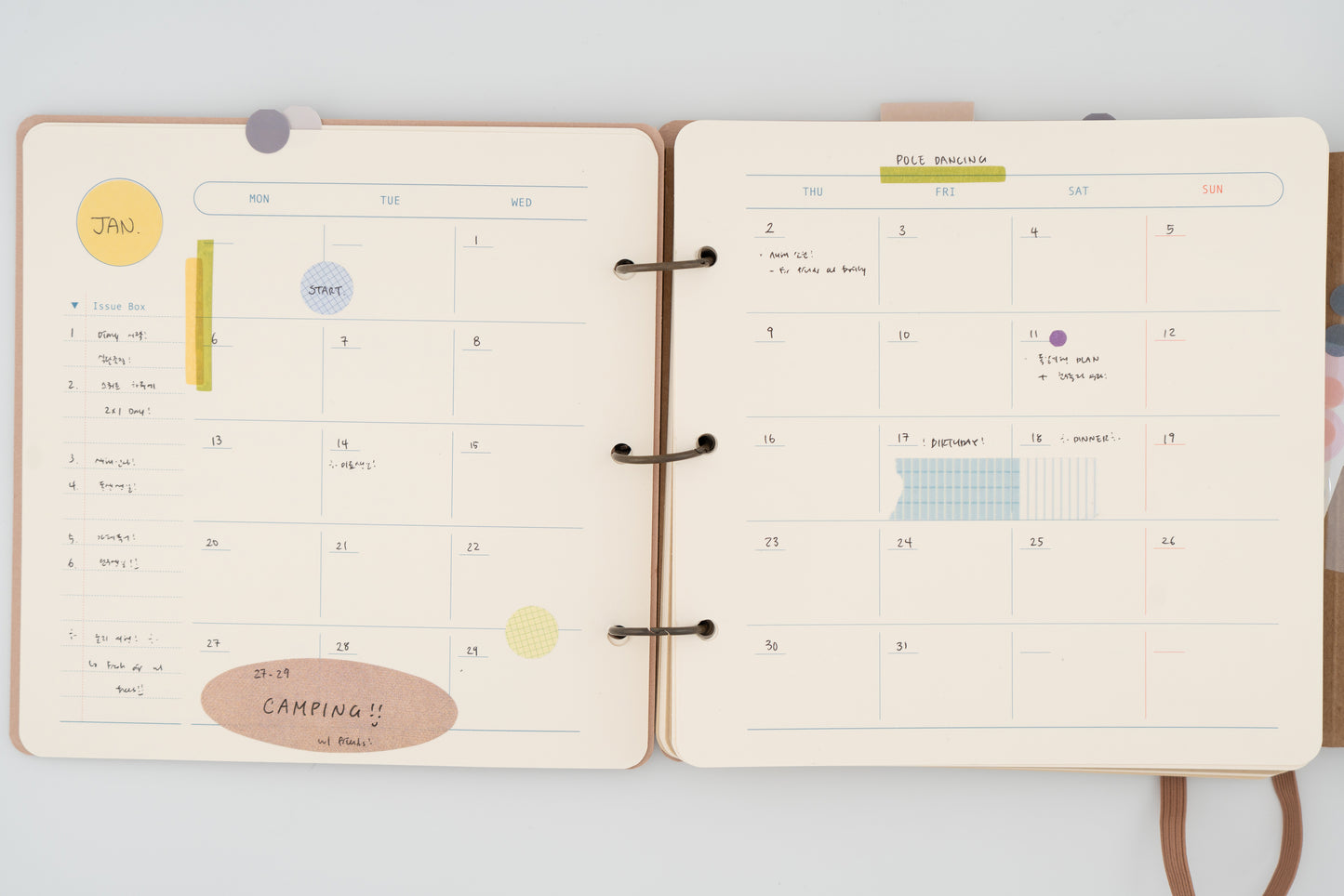 Open Book Diary (Medium)
