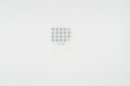 1628 Plain.24 Hologram Set