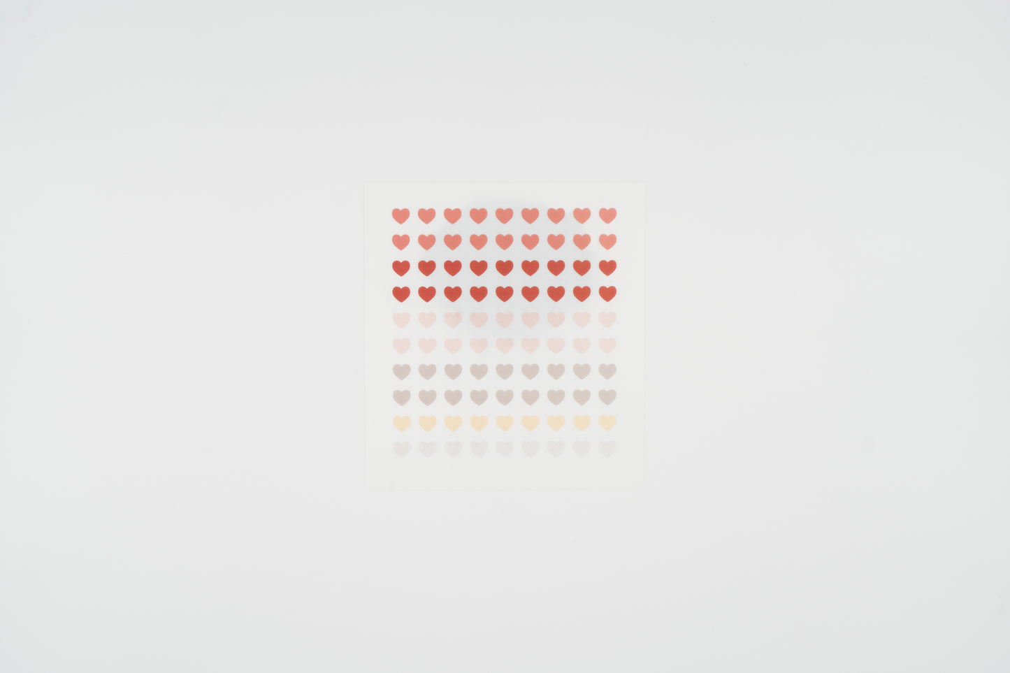 1655 Plain.51 Transparent Set