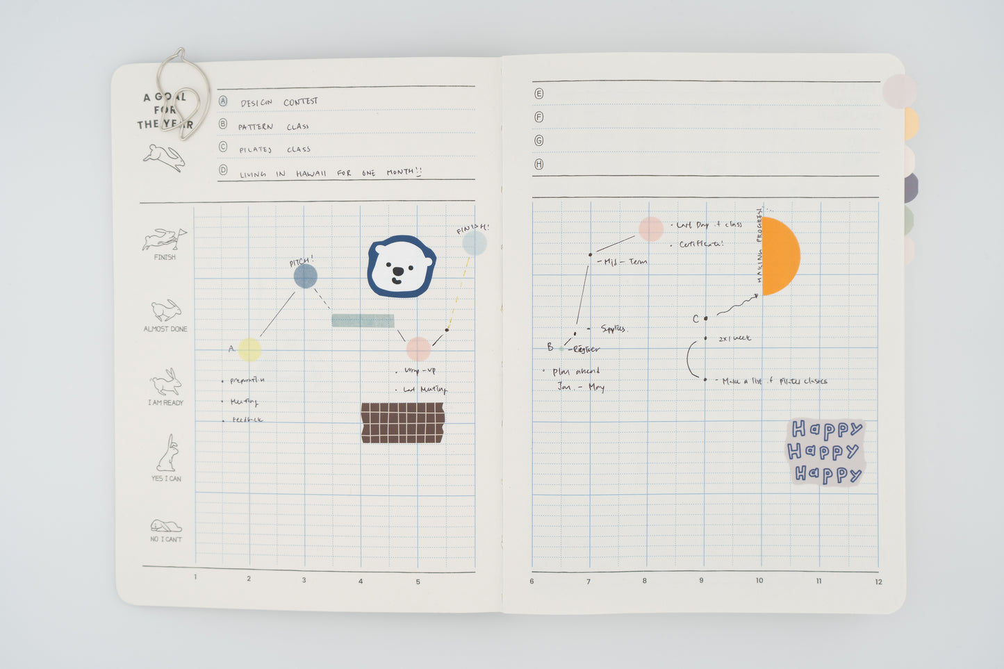 Rabbit Balance Diary