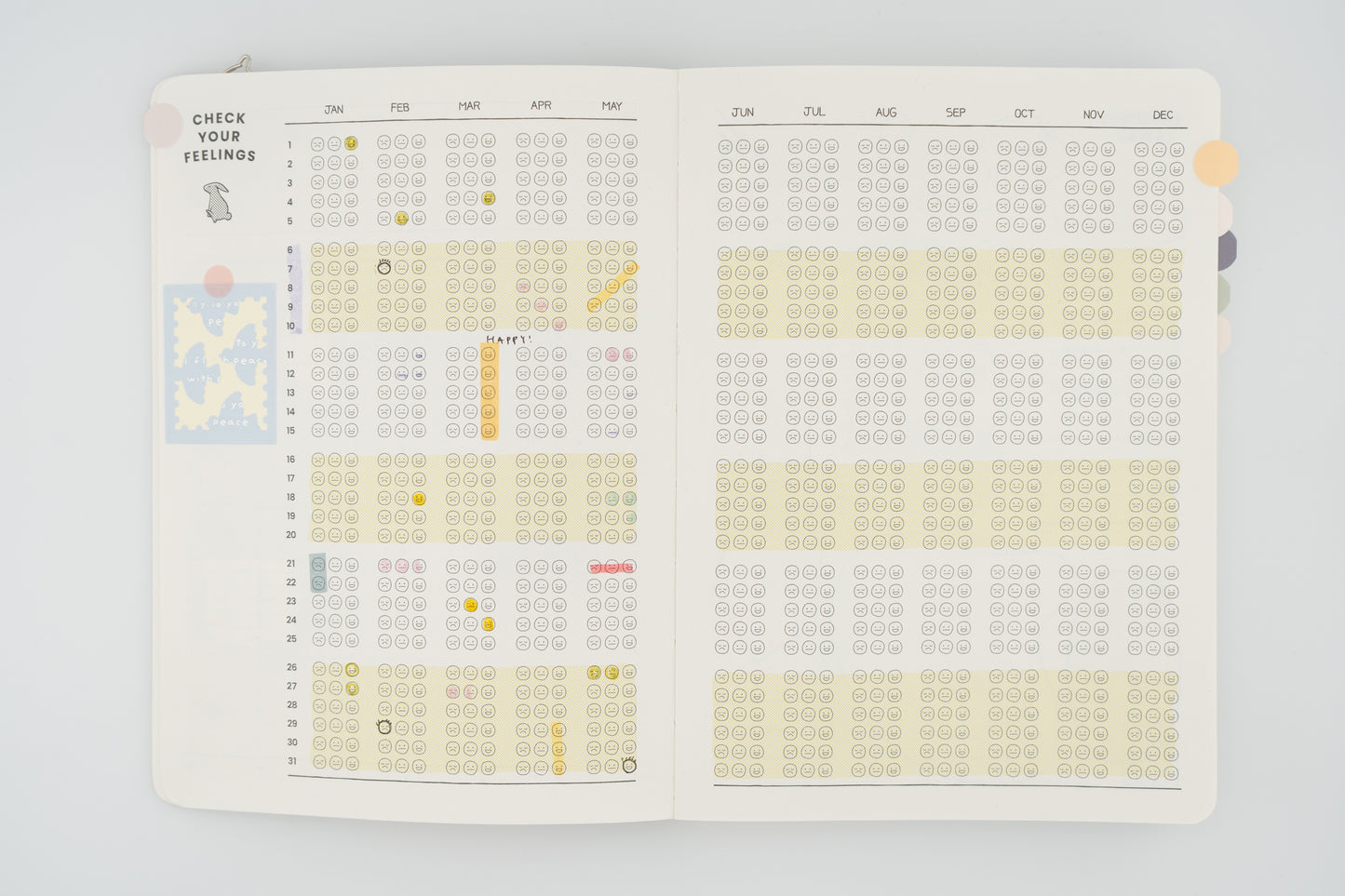 Rabbit Balance Diary