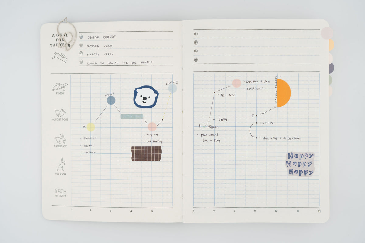 Rabbit Balance Diary