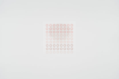 1665 Plain.61 Blossom Set