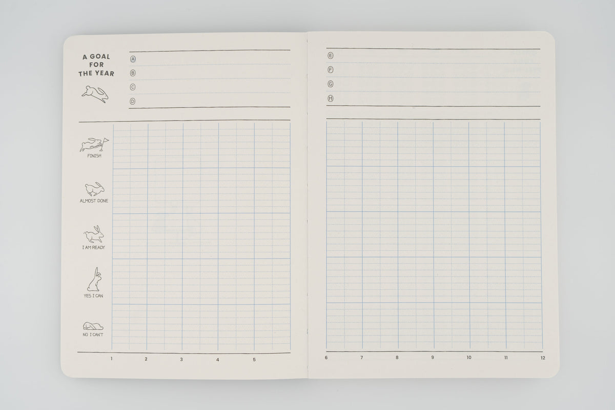 Rabbit Balance Diary
