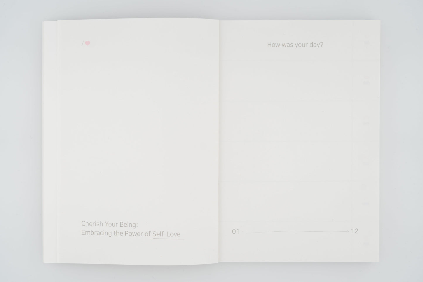 Love Me Right Non-Dated Diary