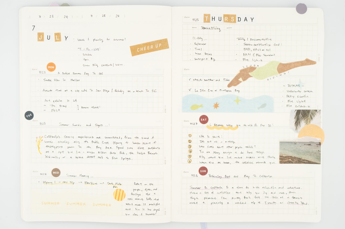 Digging Diary