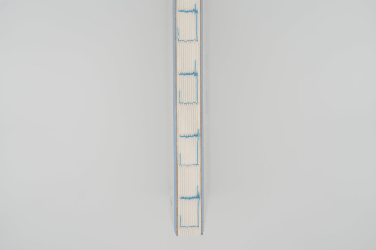 Rabbit Balance Diary