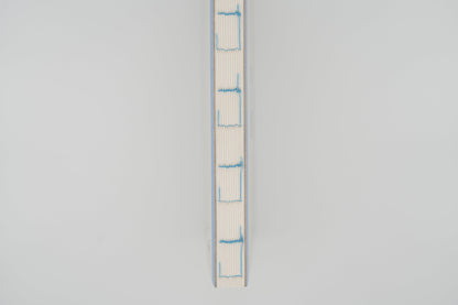 Rabbit Balance Diary