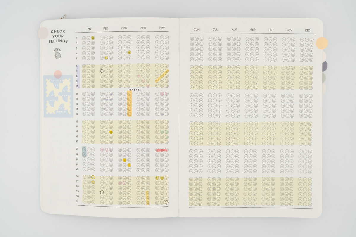 Rabbit Balance Diary