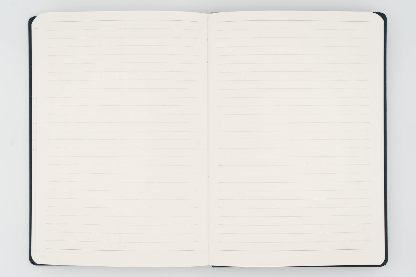 26 Harmony Diary Horse