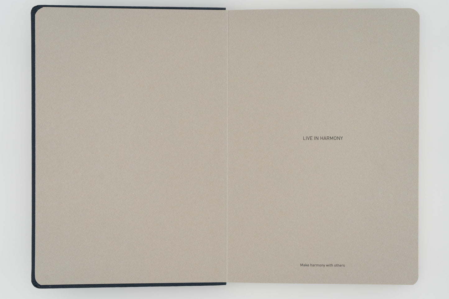 26 Harmony Diary Horse